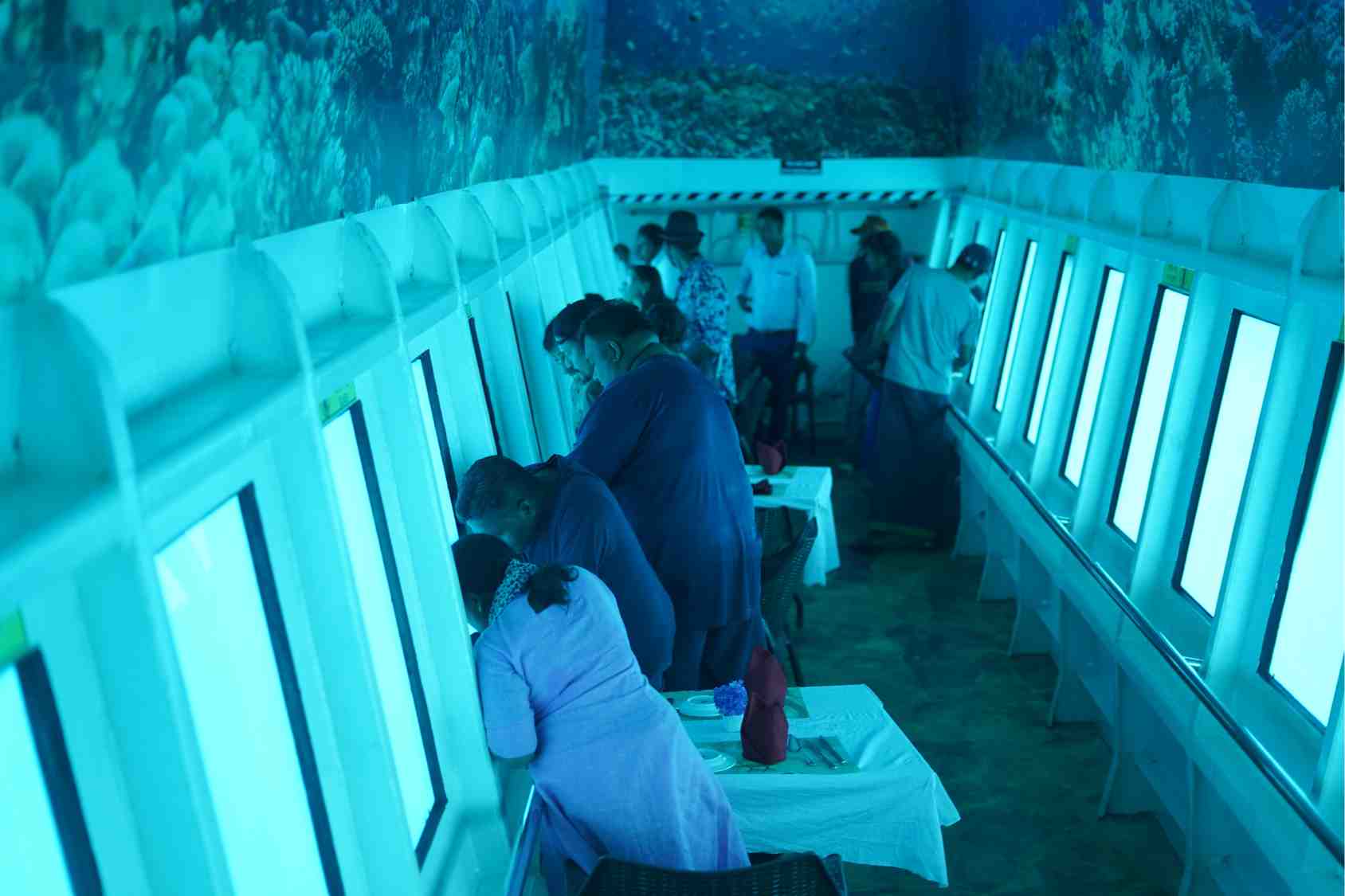 Guests watching the reef through the semi-submarine's underwater windows